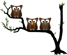 Owl-Stars